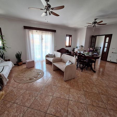 Ana Paula House Διαμέρισμα Αβέιρο Εξωτερικό φωτογραφία