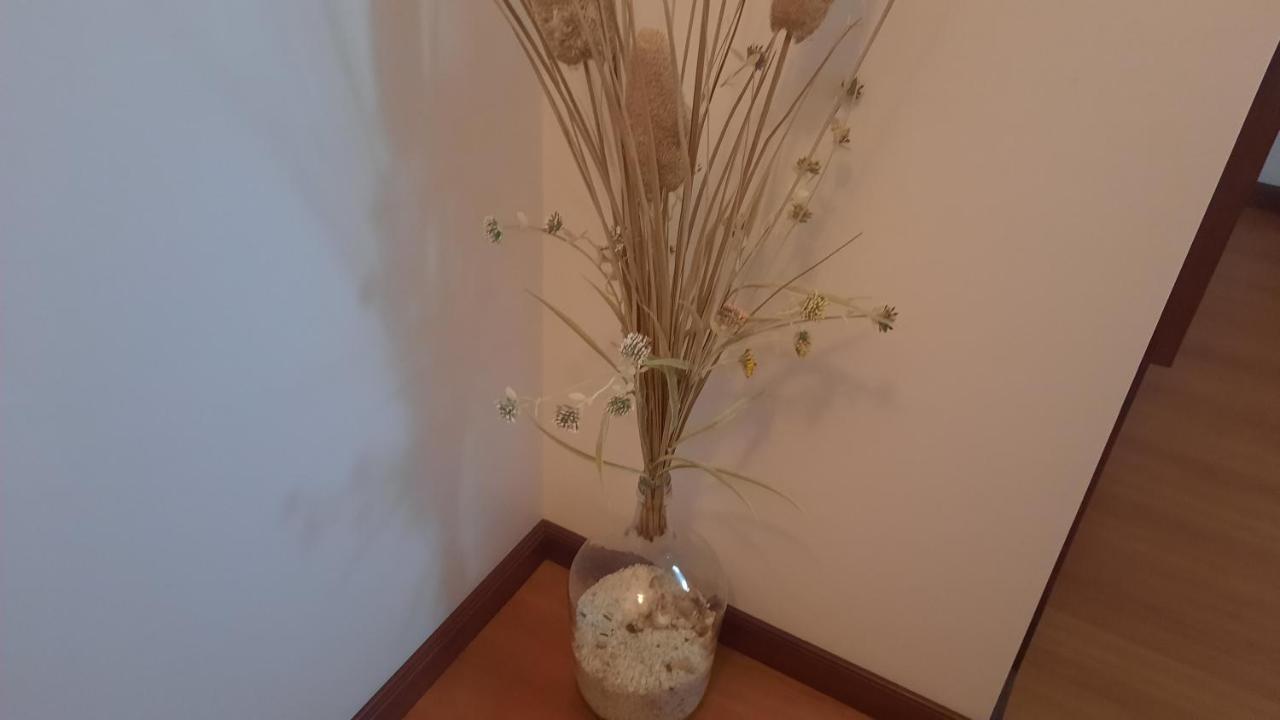 Ana Paula House Διαμέρισμα Αβέιρο Εξωτερικό φωτογραφία
